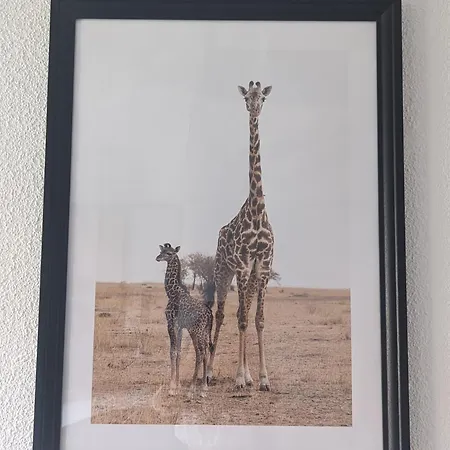 La Savane Avec Parking Privatif Et Climatisation Perpignan
